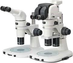 SMZ1270/1270i Stereo Microscope