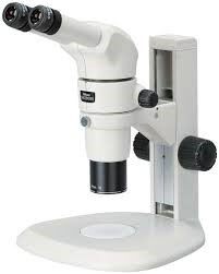 SMZ800 Zoom Stereo Microscope