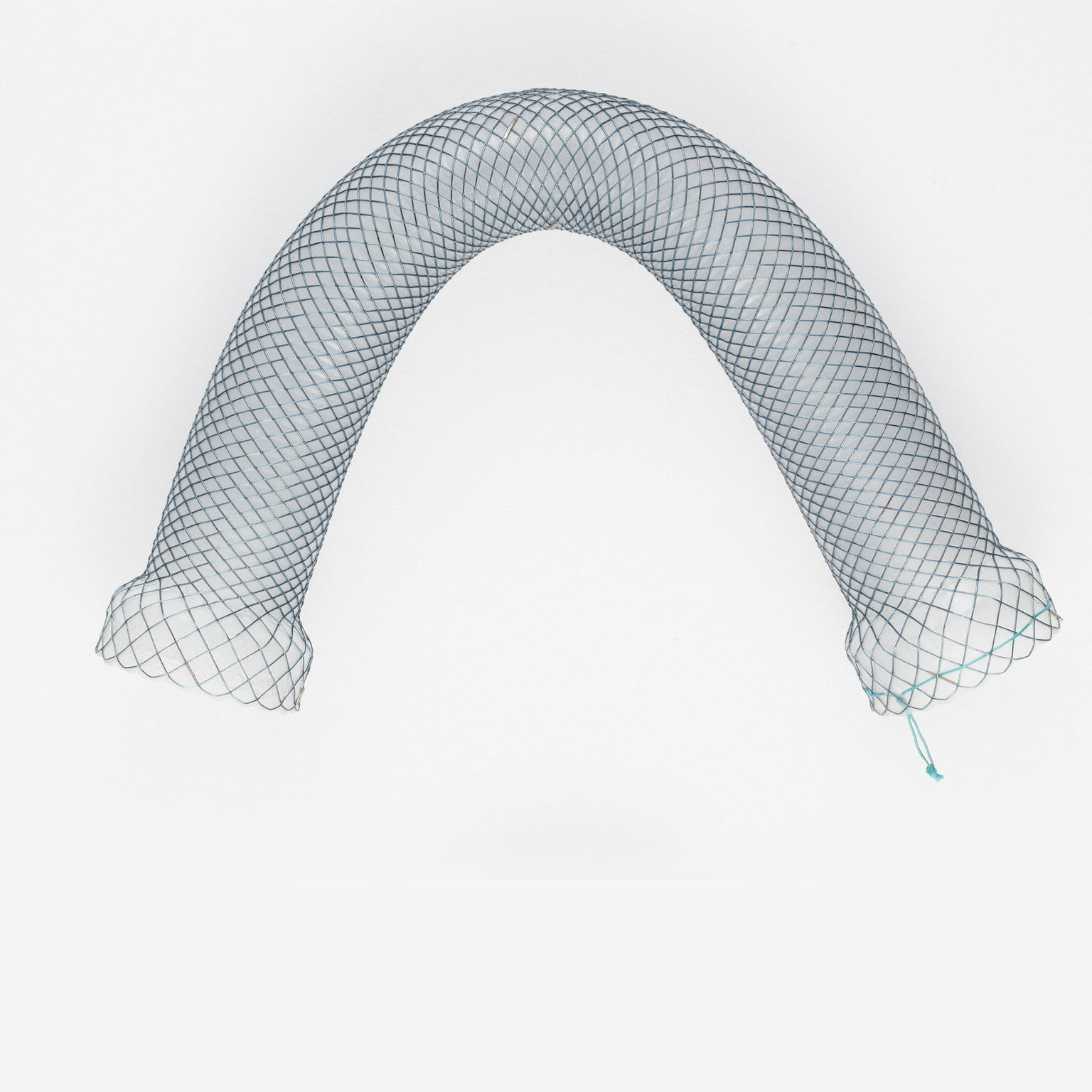 Mega Oesophageal Stent – Healthcare21