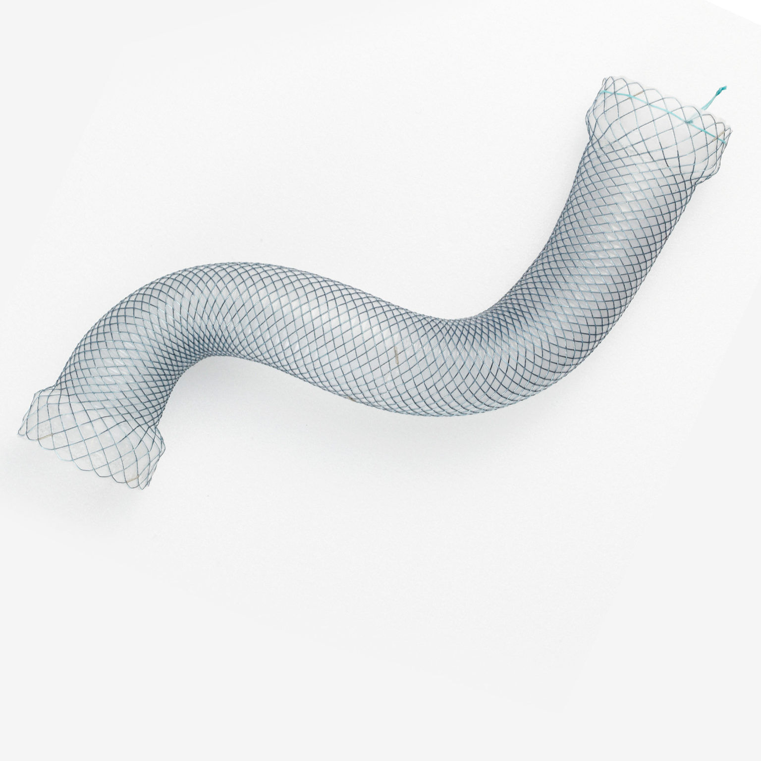 Mega Oesophageal Stent – Healthcare21